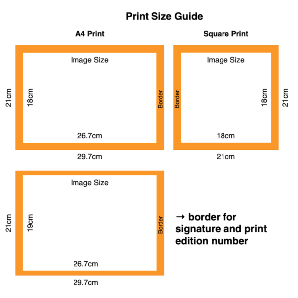 Anne Bardsley Art Print Size Guide