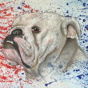 English Bulldog Mixed Media Painting By Anne Bardsley