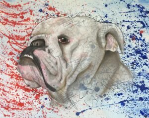 English Bulldog Mixed Media Painting By Anne Bardsley