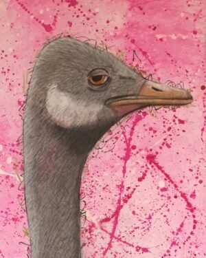 Ostrich Mixed Media Painting By Anne Bardsley