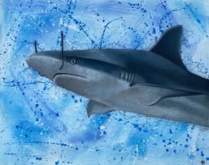 Salvador Sharky Mixed Media Painting By Anne Bardsley