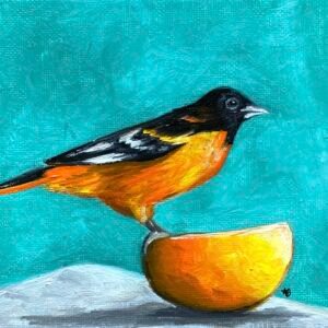 Orange Oriole Oil Painting By Anne Bardsley