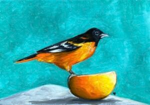 Orange Oriole Oil Painting By Anne Bardsley