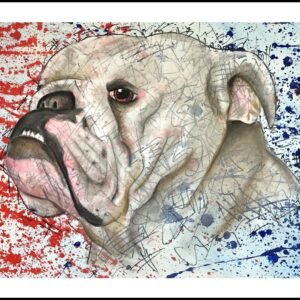 English Bulldog Print By Anne Bardsley