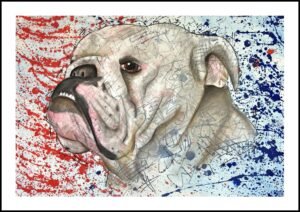 English Bulldog Print By Anne Bardsley