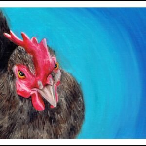 Resting Chicken Face Print By Anne Bardsley