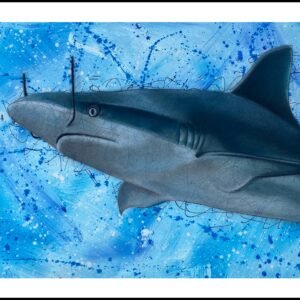 Salvador Sharky Print By Anne Bardsley