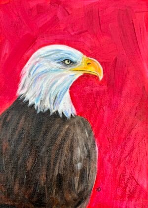 Eagle Eyed Oil Painting By Anne Bardsley