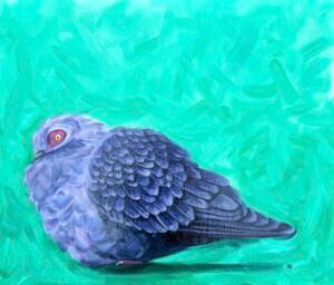 Nice To Meet Coo Oil Painting By Anne Bardsley