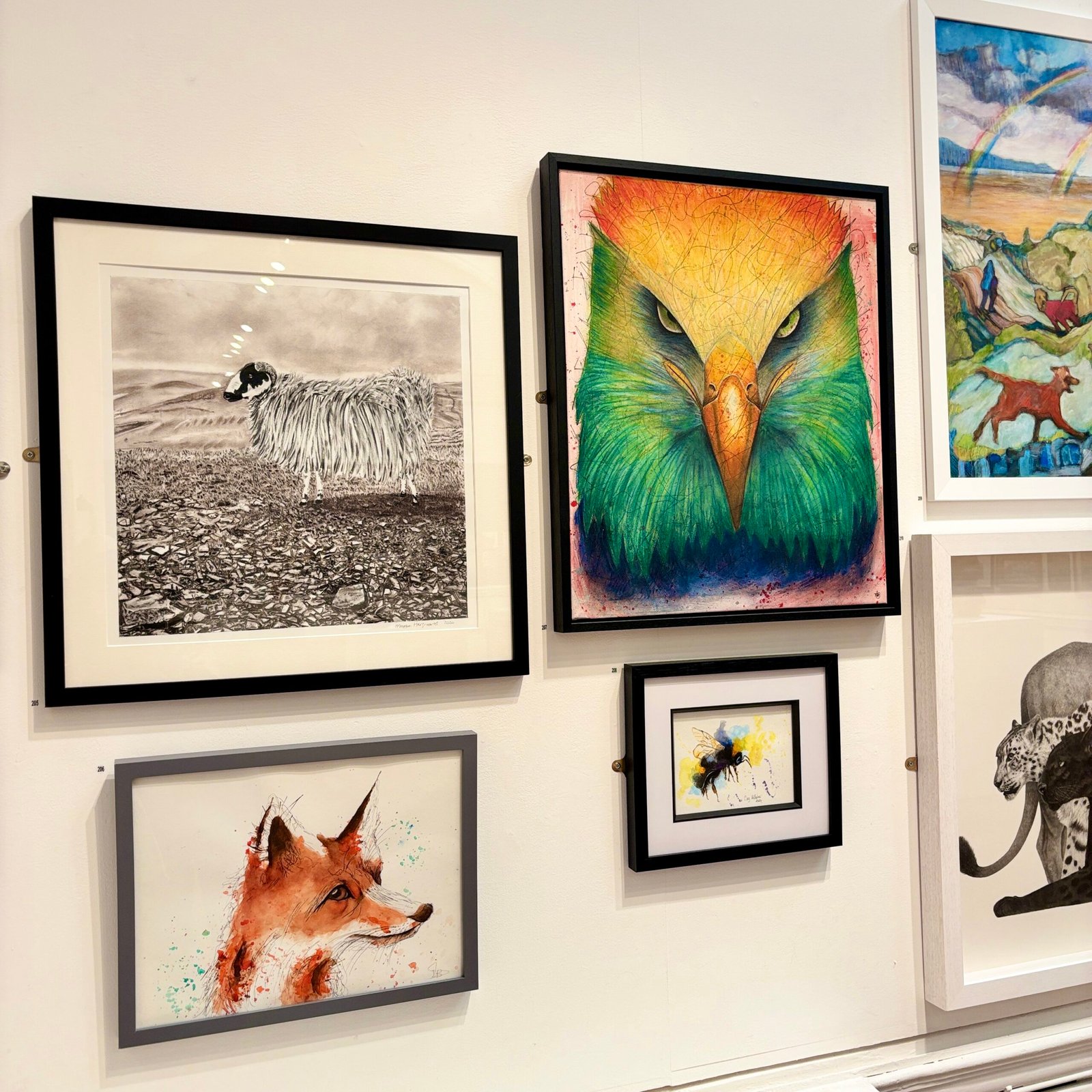 Anne Bardsley Art Bury Gallery Art Nov 2025 Showing Rainbow Raptor Painting On Display