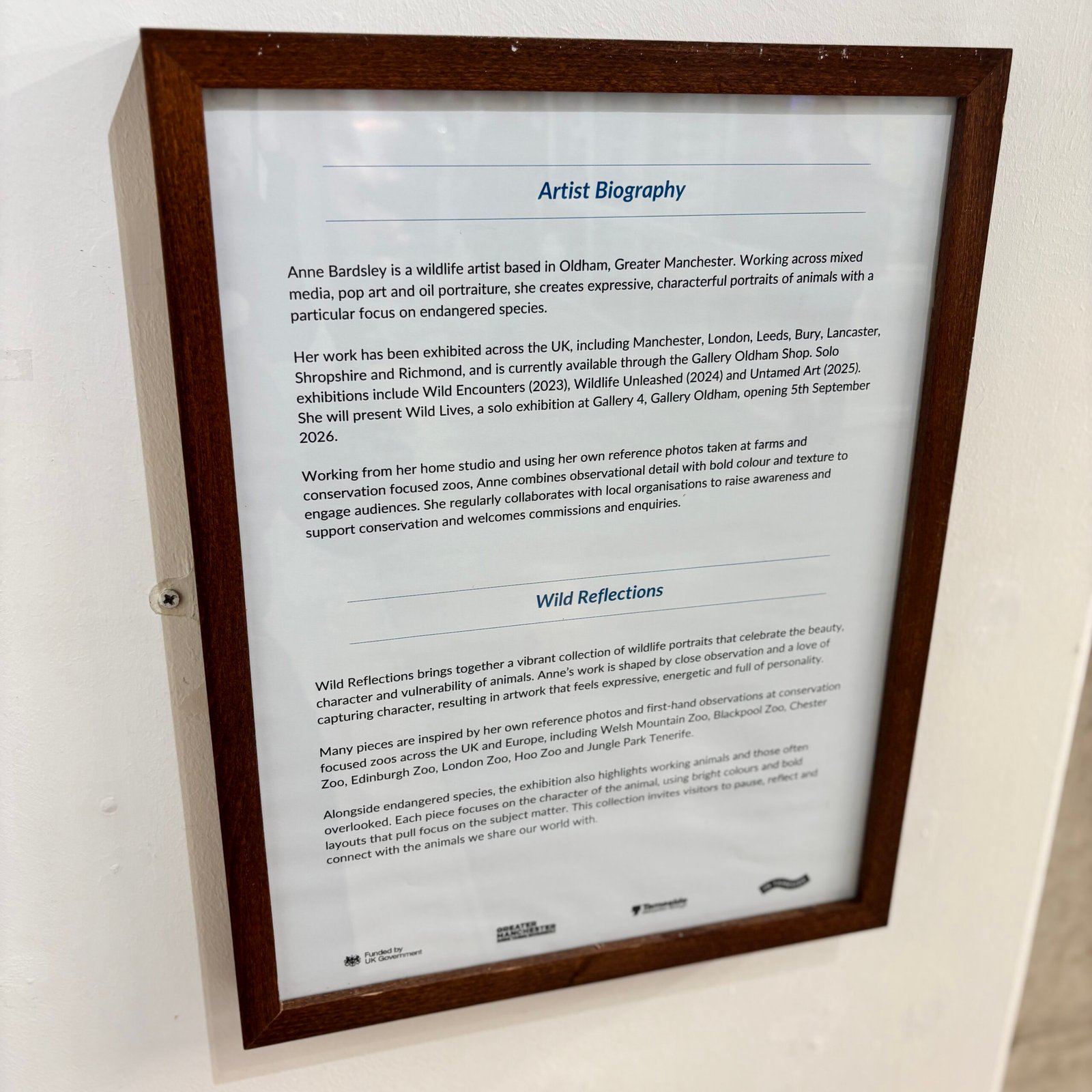 Anne Bardsley Art Wild Reflections Exhibition Feb 2026 Showing The Exhibition Description And Information About Anne's Practice