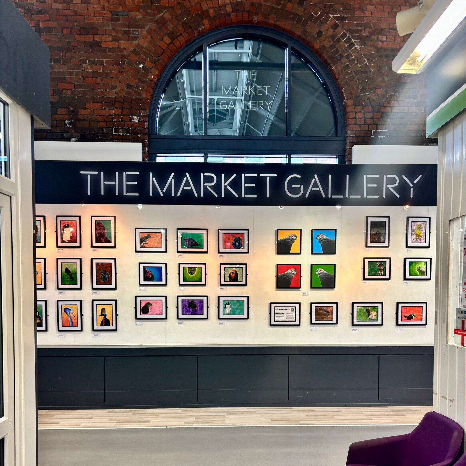 Anne Bardsley Art Wild Reflections Exhibition Feb 2026 Showing A Wall Of Framed Paintings And The Market Gallery Sign