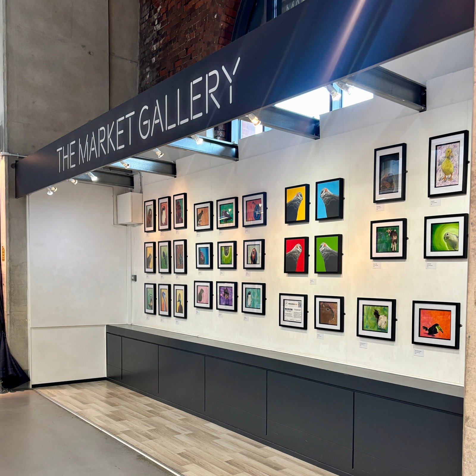 Anne Bardsley Art Wild Reflections Exhibition Feb 2026 Showing A Wall Of Framed Paintings With A Market Gallery Sign