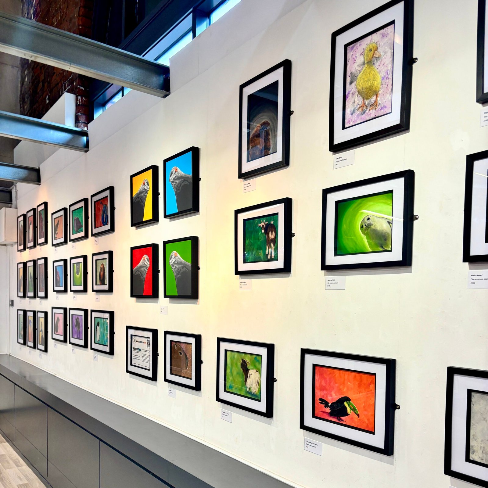 Anne Bardsley Art Wild Reflections Exhibition Feb 2026 Showing An Alternative View Of Paintings On Display 