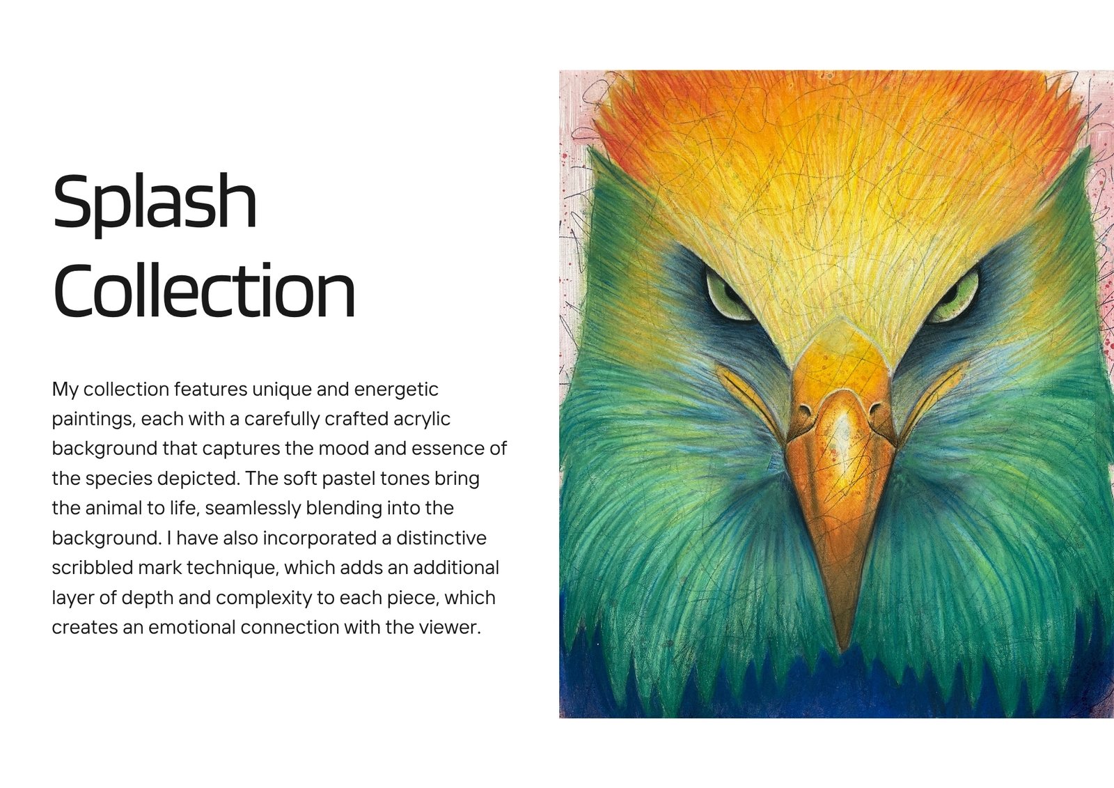 Anne Bardsley Portfolio – page five, Splash