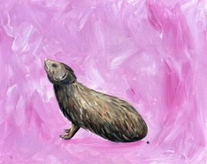Upward Facing Mongoose