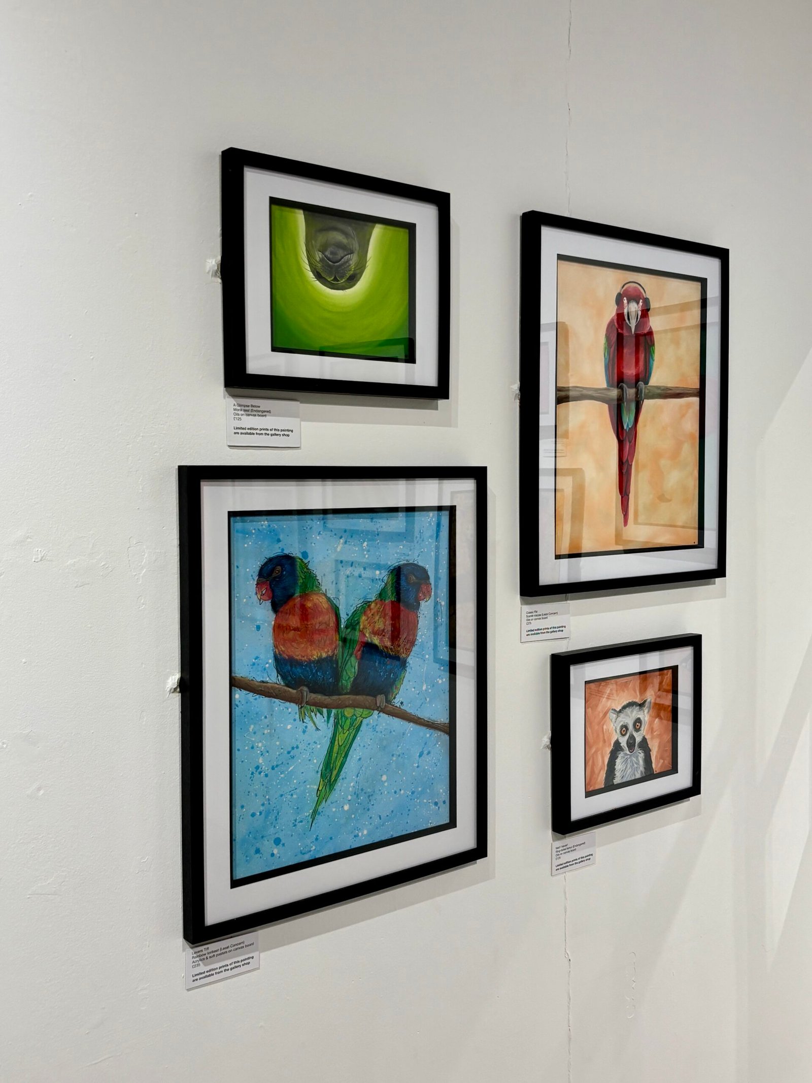 4 paintings on display at Wild Lives exhibition