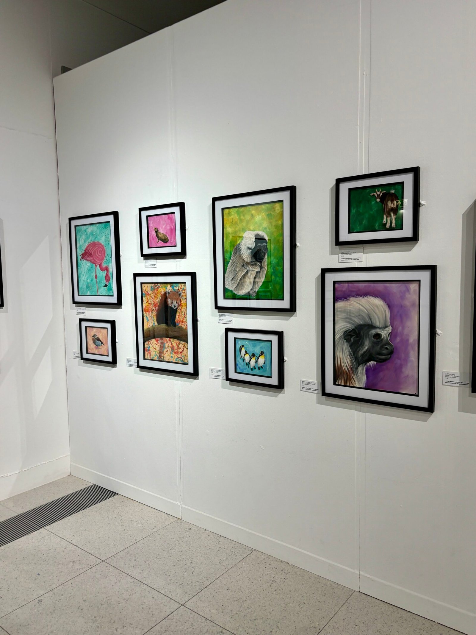 8 paintings on display at Wild Lives exhibition