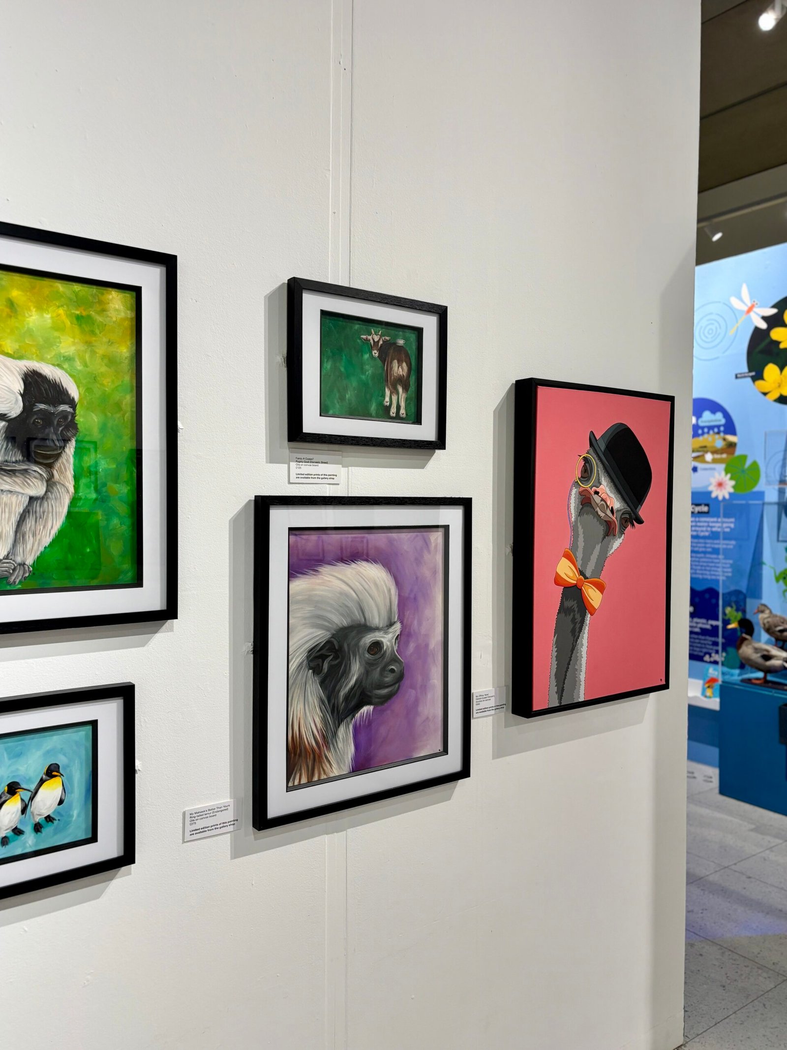 5 paintings on display at Wild Lives exhibition