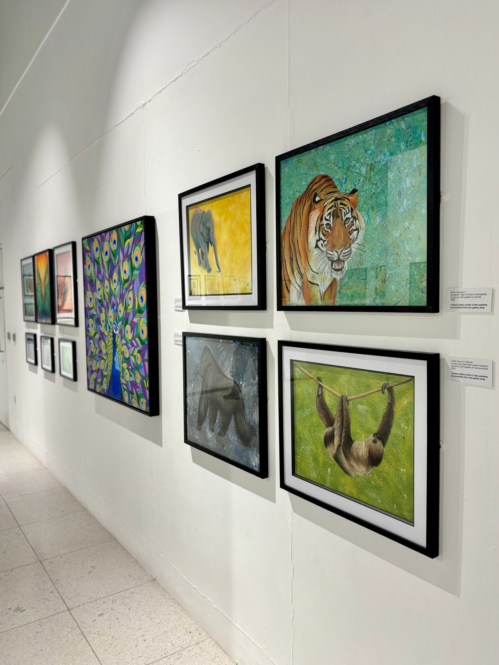 Wall of paintings on display at Wild Lives exhibition