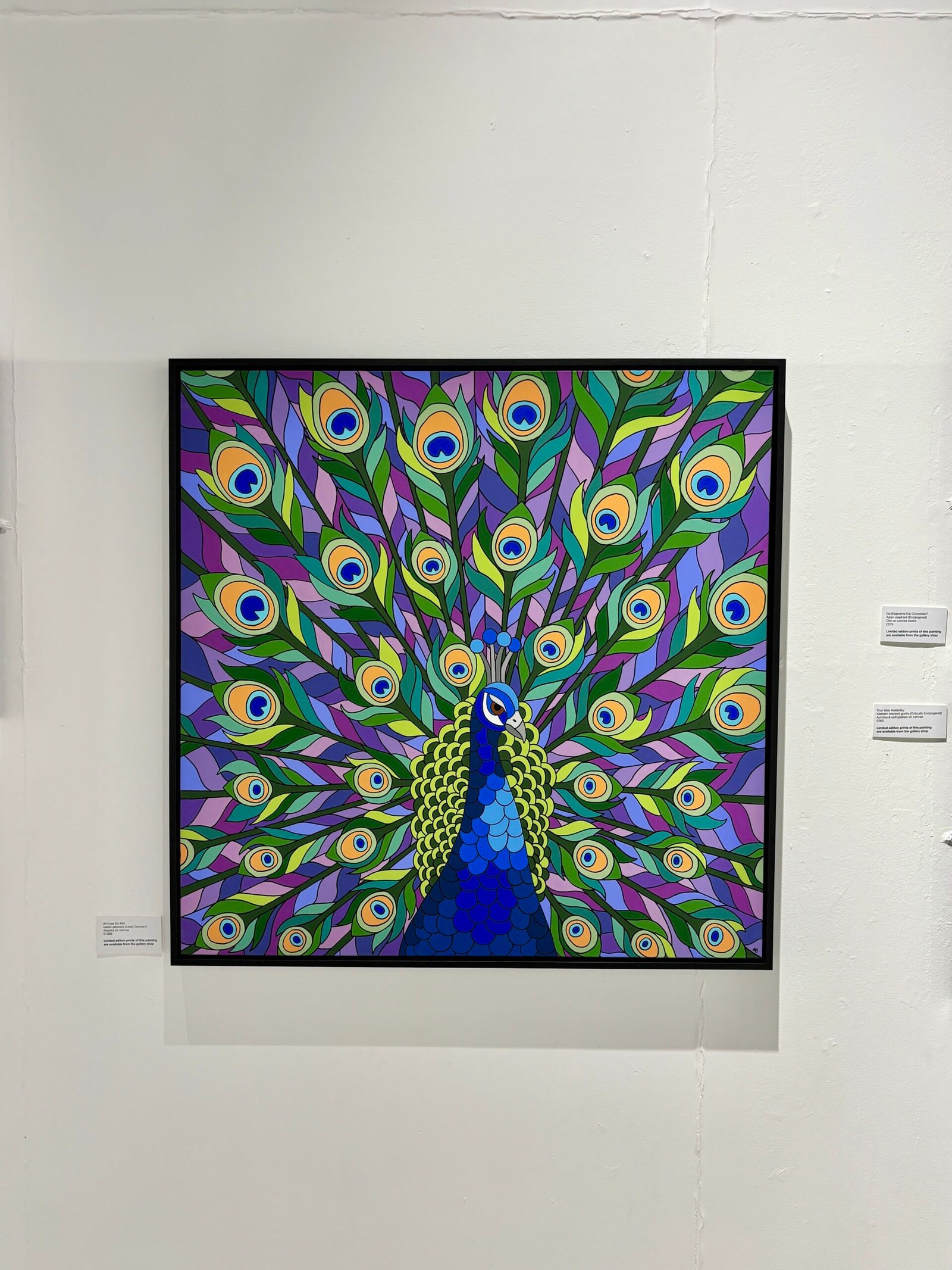 Peacock painting on display at Wild Lives exhibition