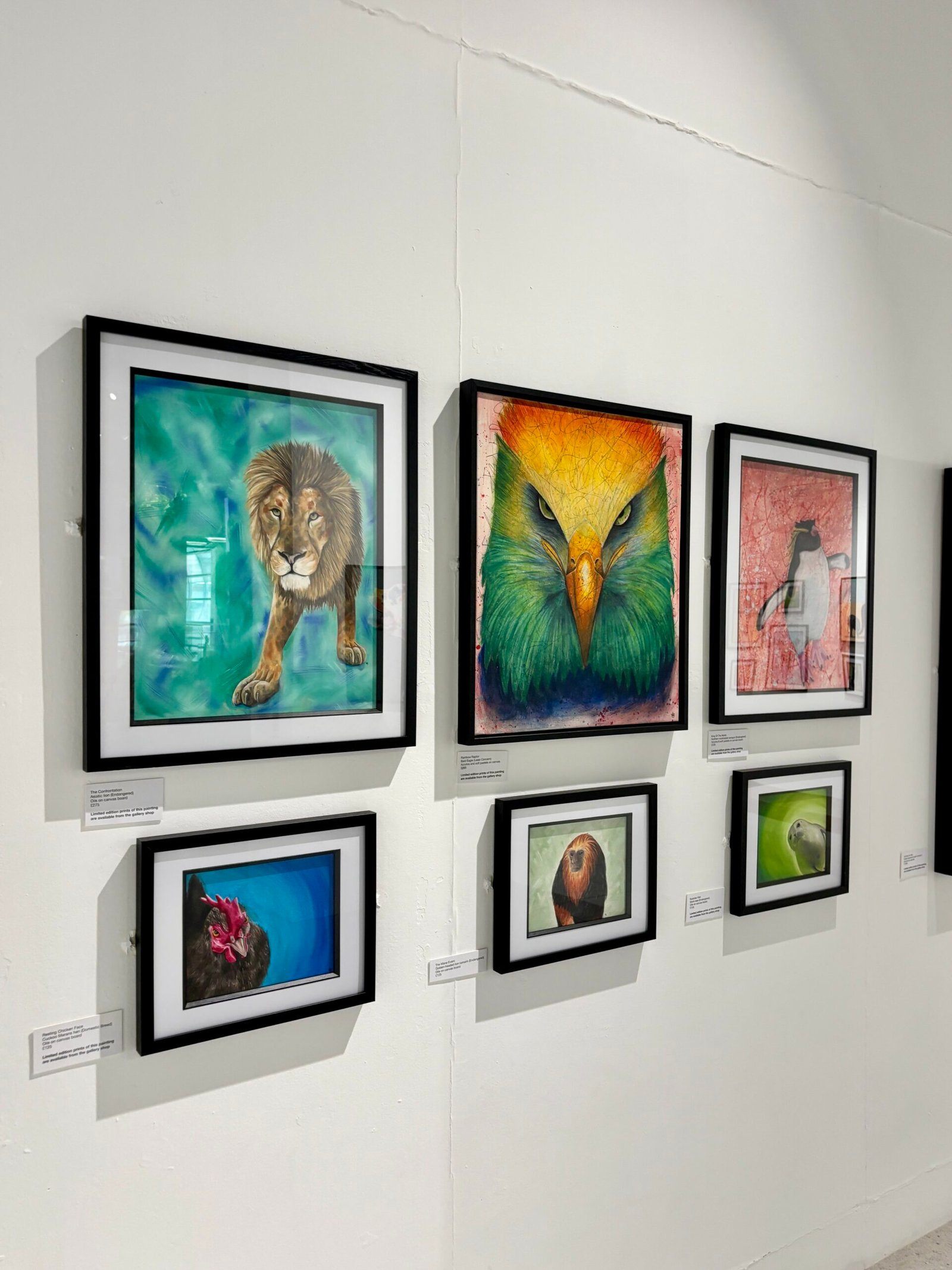 6 paintings on display at Wild Lives exhibition