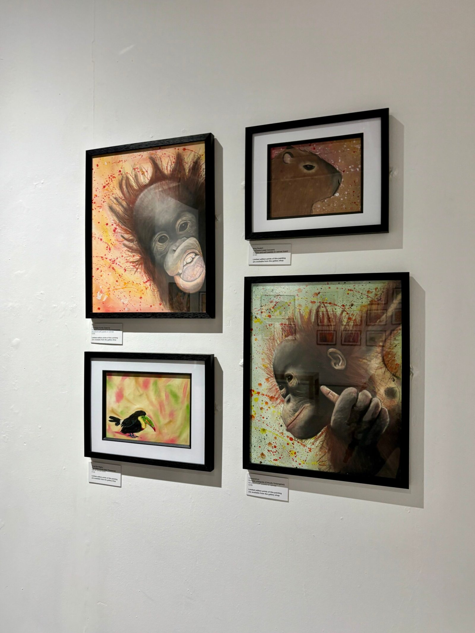 4 paintings on display at Wild Lives exhibition