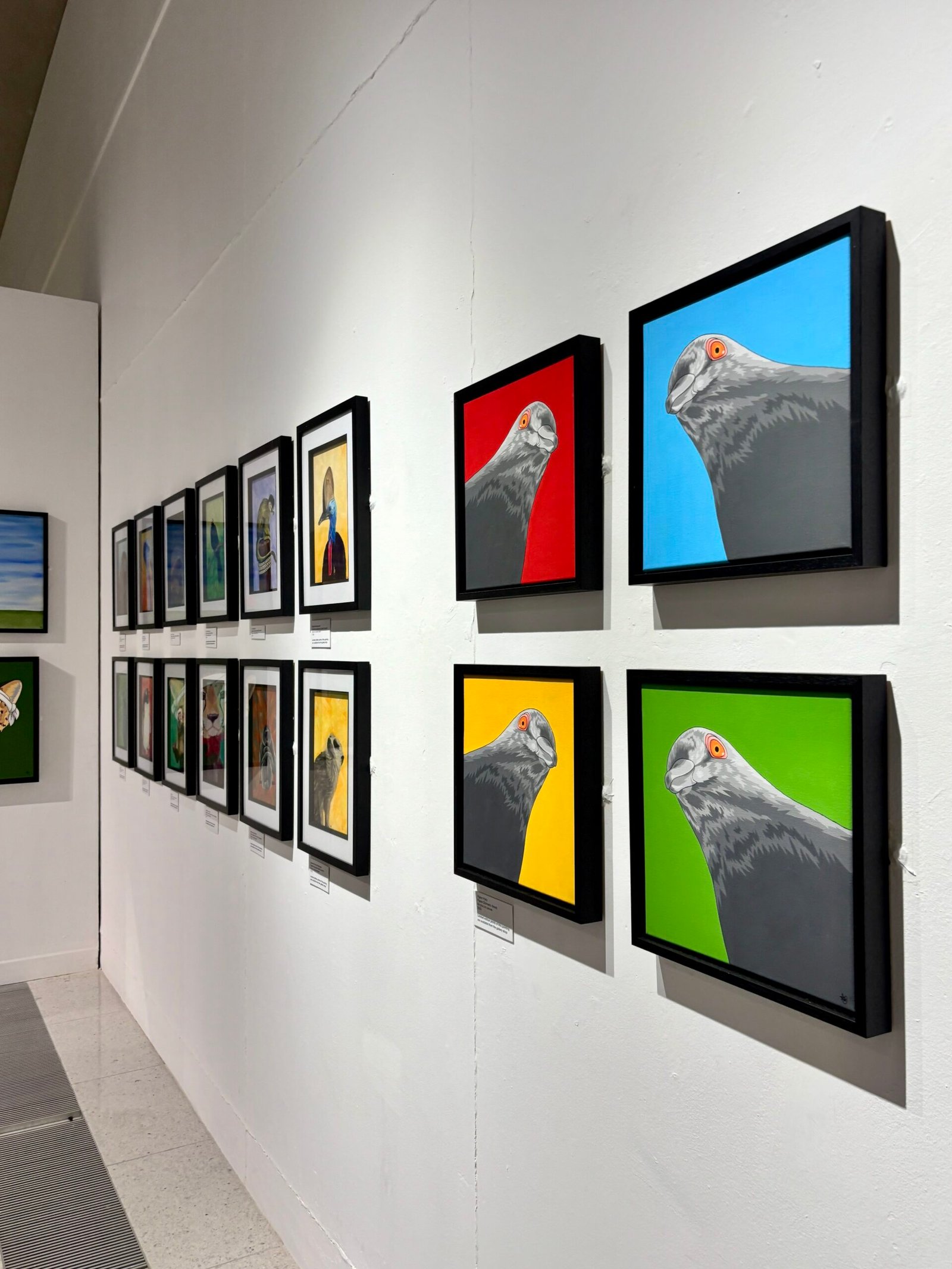 Wall of paintings on display at Wild Lives exhibition