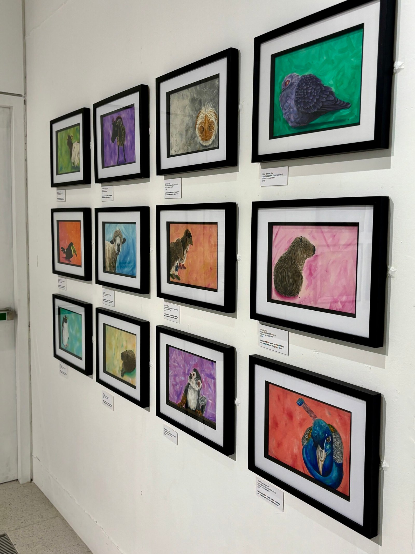 12 paintings on display at Wild Lives exhibition