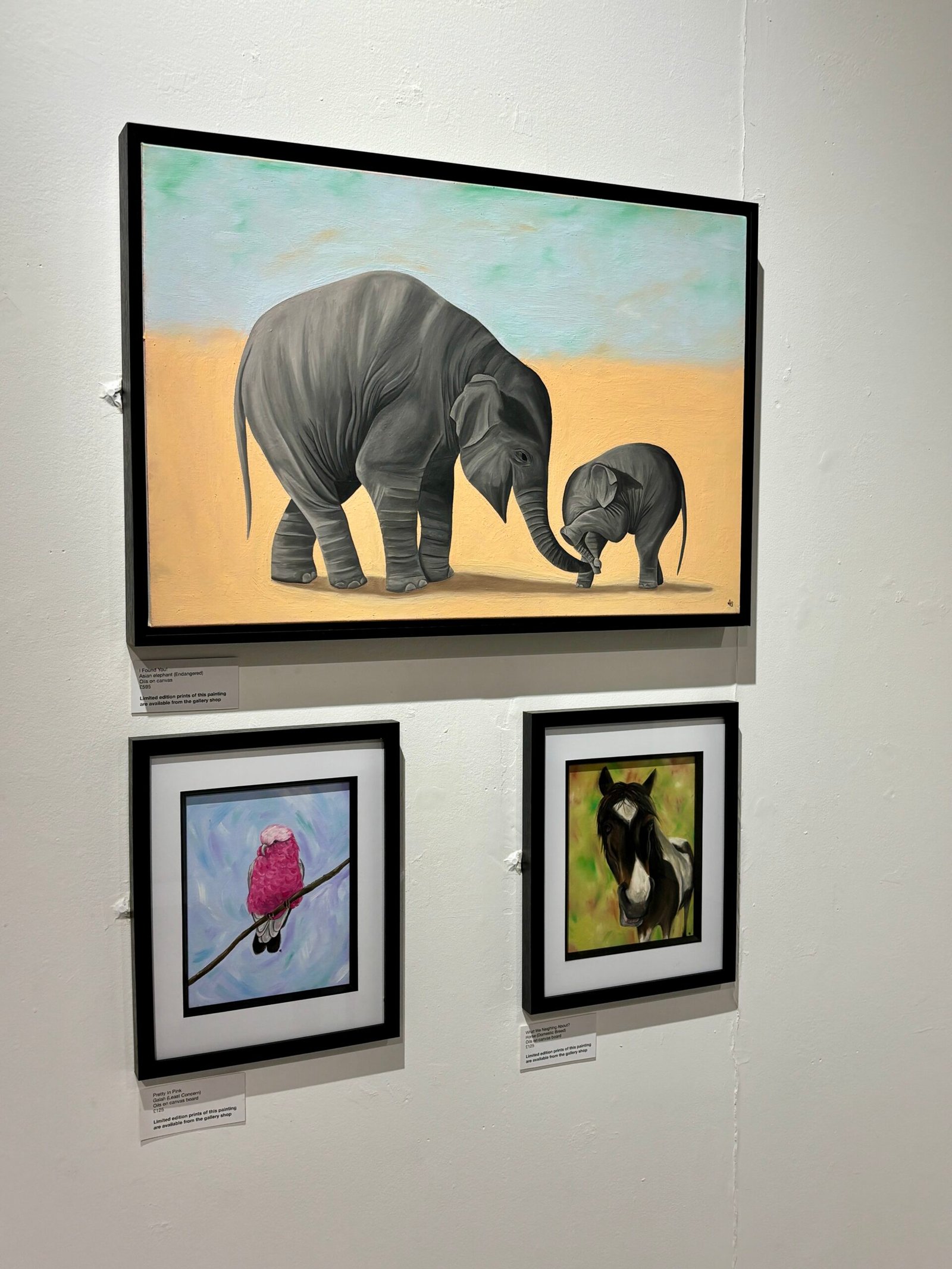 3 paintings on display at Wild Lives exhibition
